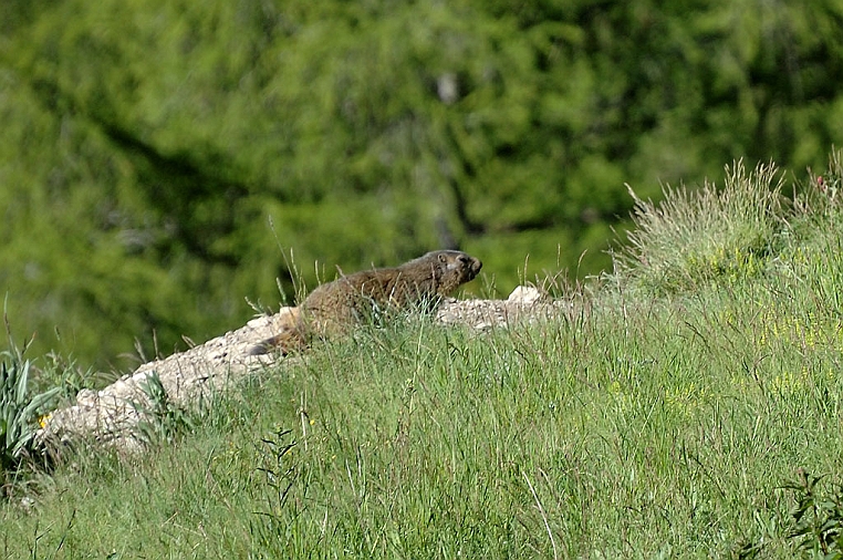 DSC_1255.jpg