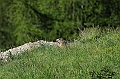 DSC_1258
