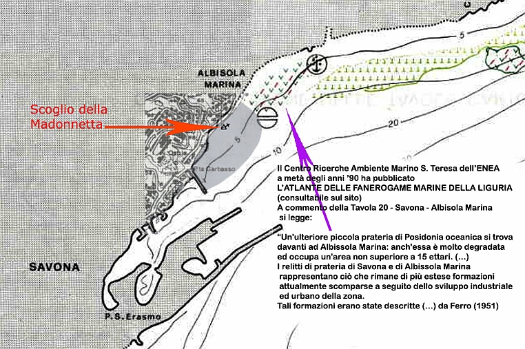 43-Tavola-20.jpg - Negli ultimi decenni, anche il fondale marino ha subito profonde modificazioni,come documentato da questo studio dell'ENEA...