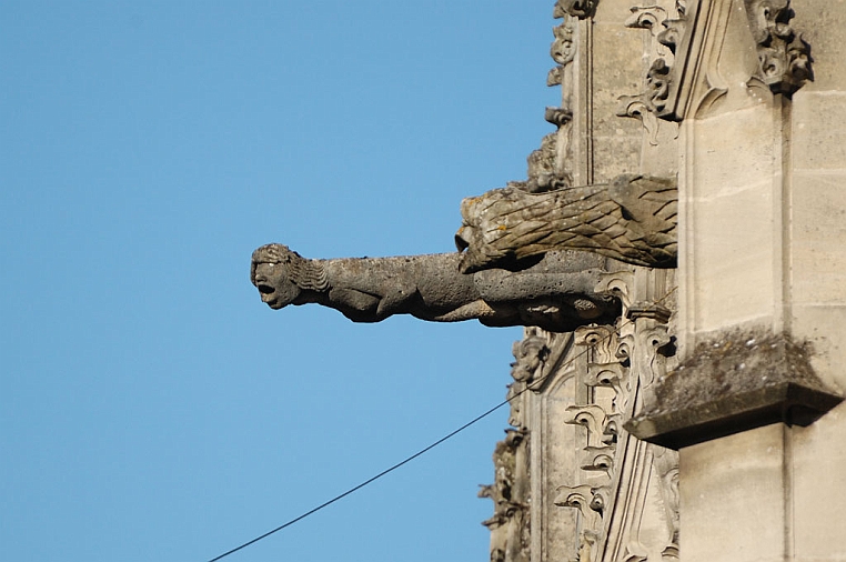 11-DSC_5462.jpg - I gargoyle, sono mostri di pietra usati nelle cattedrali gotiche per far defluire l'acqua dai tetti, ma anche come oggetto di difesa dagli spiriti malvagi.