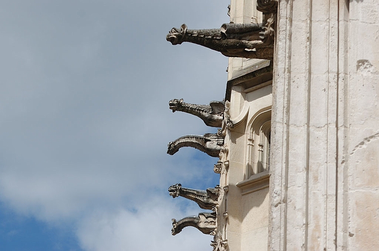 10-DSC_5897.jpg - I Gargoyle sono mostri di pietra usati nelle costruzioni gotiche per far defluire l'acqua dai tetti...