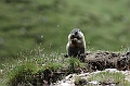45-DSC_9173
