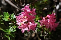 53-DSC_9399