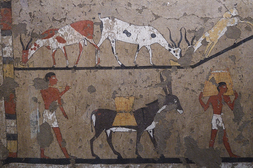 16_MAK_5666.jpg - Pittura a tempera. Un uomo conduce un asino che porta due sacchi, per fare vedere che sono due, quello dalla parte opposta è disegnato ribaltato. 2161-1990 a.C.